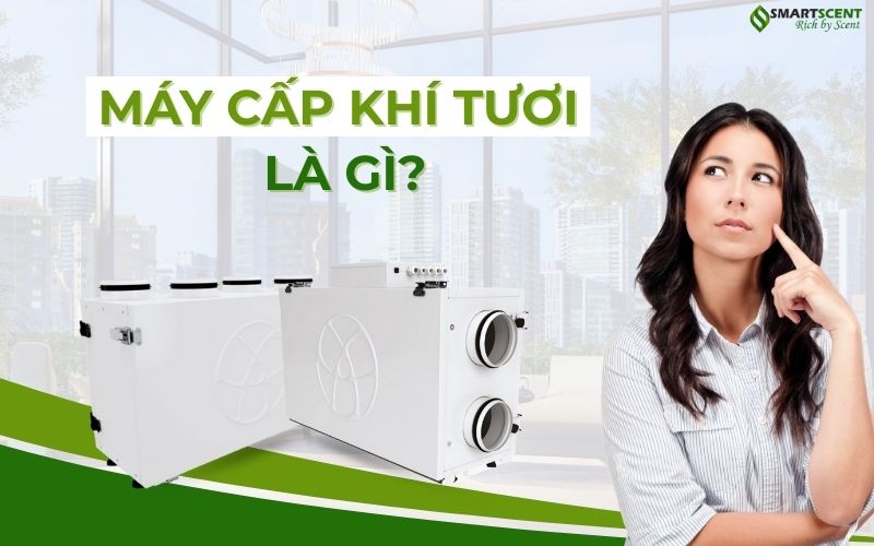 may-cap-khi-tuoi-la-gi