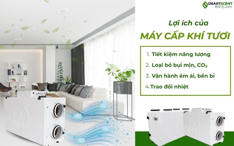 loi-ich-cua-may-cap-khi-tuoi