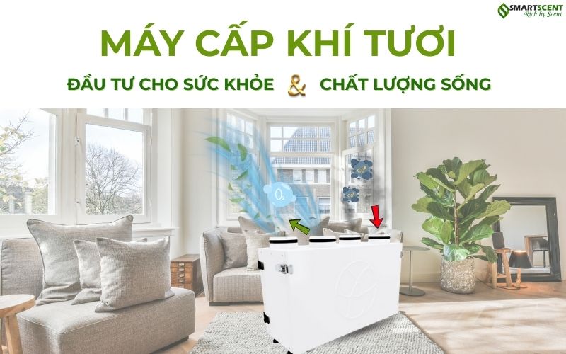 May-cap-khi-tuoi-dau-tu-cho-suc-khoe