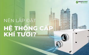 vi-sao-biet-thu-hang-sang-nen-lap-may-cung-cap-khong-khi-tuoi