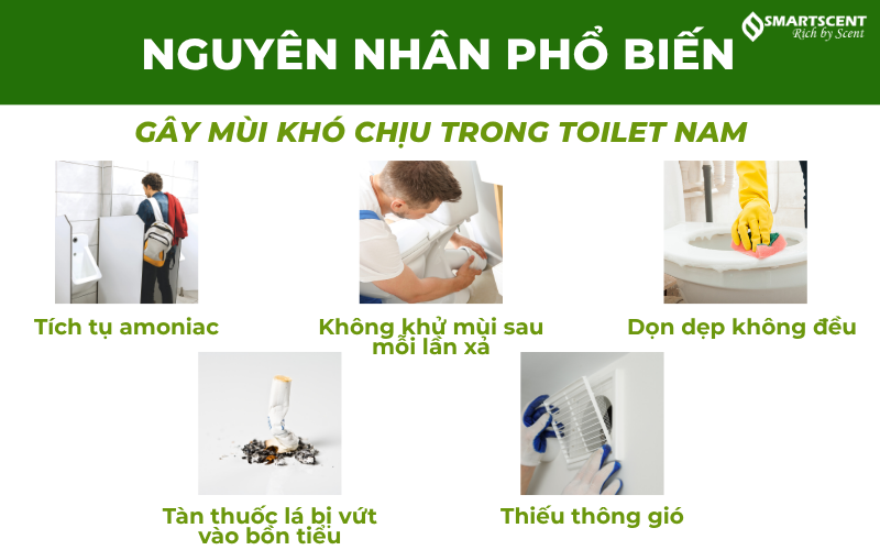 nguyen-nhan-gay-mui-kho-chiu-trong-toilet-nam