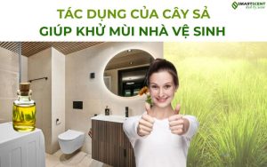 tac-dung-cua-cay-sa-giup-khu-mui-nha-ve-sinh