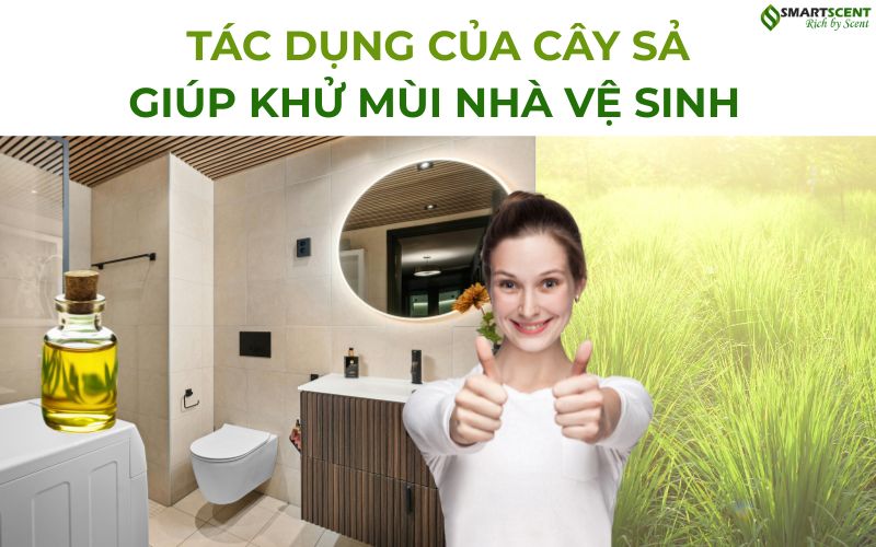 tac-dung-cua-cay-sa-giup-khu-mui-nha-ve-sinh