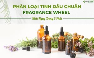 phan-loai-tinh-dau-fragance wheel