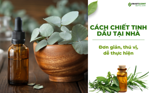 cach-chiet-tinh-dau-tai-nha-don-gian-thu-vi-de-thuc-hien
