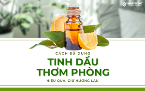 cach-lam-thom-phong-voi-tinh-dau-hieu-qua-giu-huong-lau