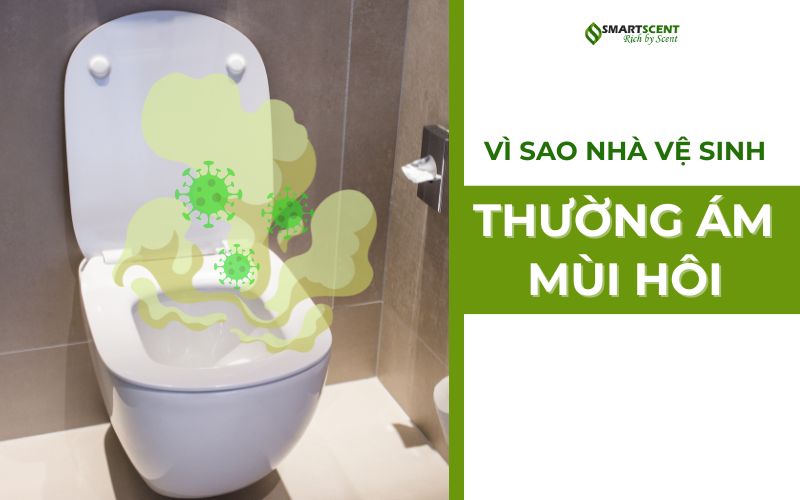 vi-sao-nha-ve-sinh-thuong-co-mui