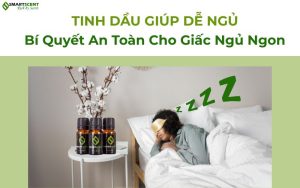 tinh-dau-giup-de-ngu-bi-quyet-an-toan-cho-giac-ngu-ngon