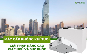 may-cap-khong-khi-tuoi