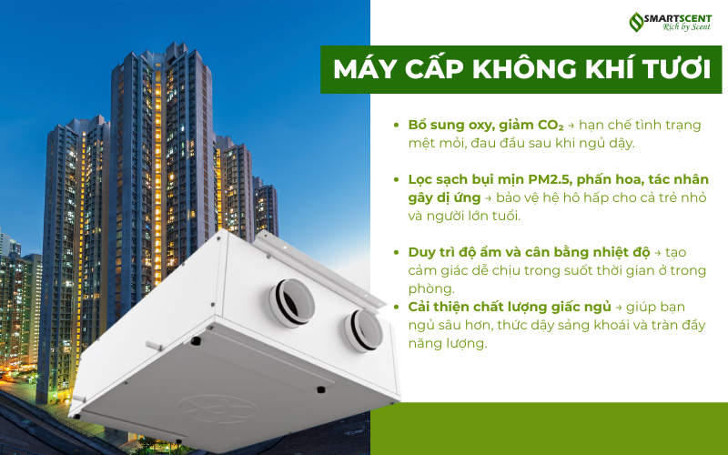 may-cap-khong-khi-tuoi-giai-phap-thay-mau-cho-khong-gian