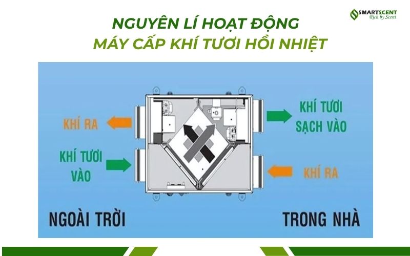 nguyen-li-hoat-dong