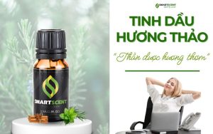 tinh-dau-huong-thao-than-duoc-huong-thom-cho-tri-nho