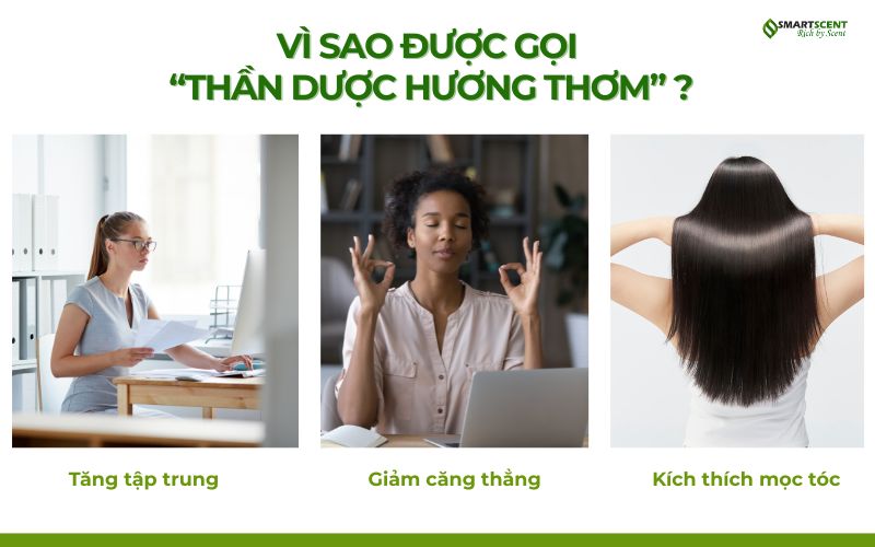 Vi-sao-dc-goi-than-duoc-huong-thom