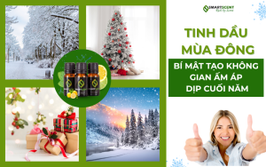 tinh-dau-mua-dong-bi-quyet-tao-khong-gian-am-ap-cho-cuoi-nam