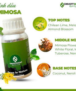 mimosa2