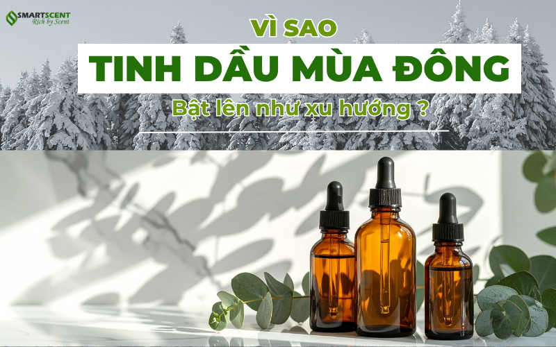 vi-sao-tinh-dau-mua-dong-bat-len-nhu-xu-huong