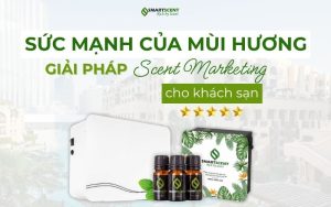 suc-manh-cua-mui-huong-giai-phap-cho-khach-san