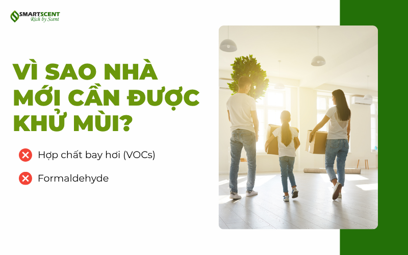 vi-sao-can-tim-hieu-cach-khu-mui-nuoc-son