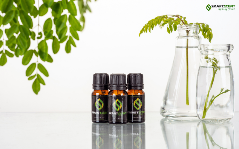 tao-huong-va-nang-luong-moi-cho-ngoi-nha