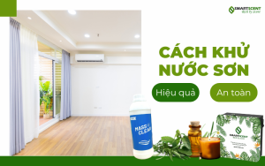 cach-khu-mui-son-cho-nha-moi-xay-hieu-qua-an-toan