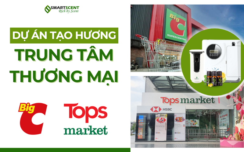 du-an-tao-huong-cho-trung-tam-thuong-mai