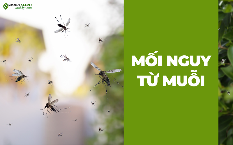 mua-dich-va-moi-nguy-tu-muoi