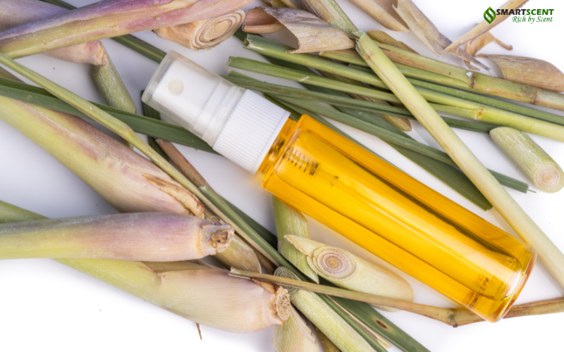 tinh-dau-sa-chanh-huong-duoi-muoi