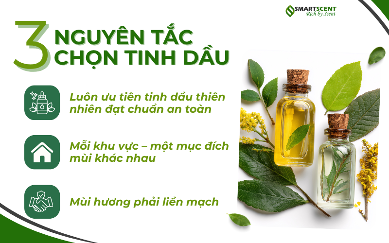 3-nguyen-tac-chon-mui-huong-cho-doanh-nghiep