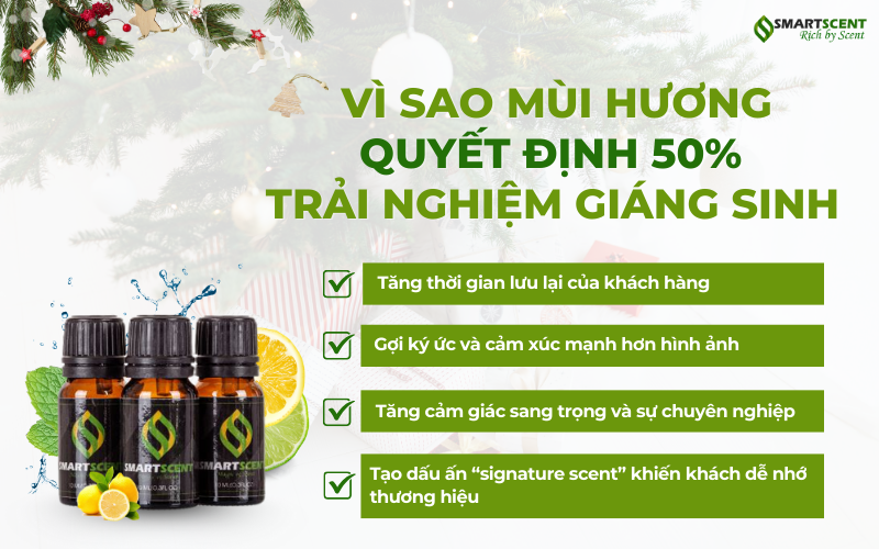 mui-huong-quyet-dinh-50%-trai-nghiem