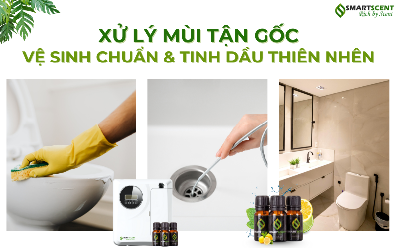 xu-ly-mui-tan-goc-ve-sinh-chuan-tinh-dau-thien-nhien