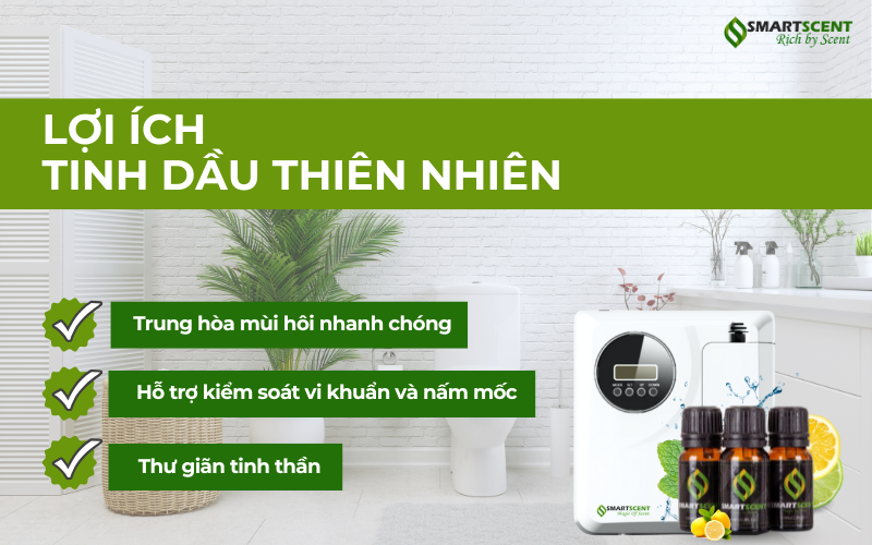 loi-ich-tinh-dau-thien-nhien