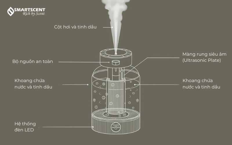 cau-tao-may-xong-tinh-dau-cam-dien