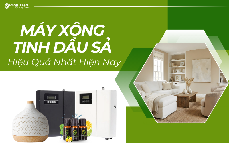 may-xong-tinh-dau-sa-hieu-qua-nhat-hien-nay-smartscent