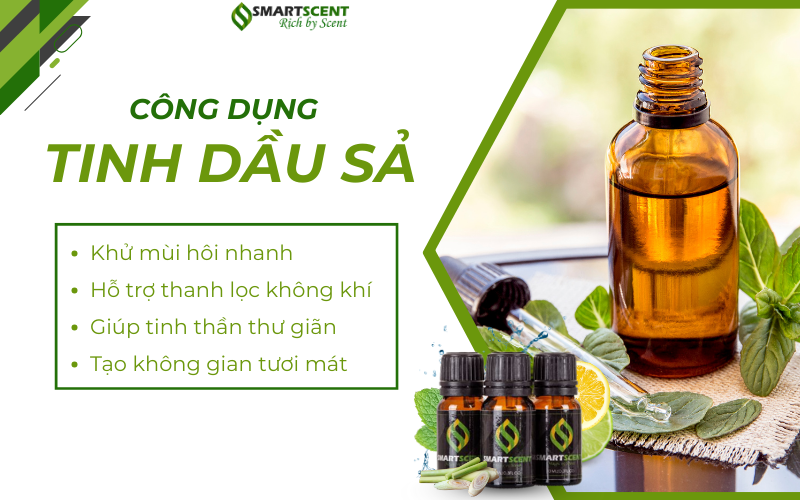 cong-dung-tinh-dau-sa