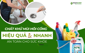 chat-khu-mui-hoi-cong-hieu-qua-an-toan