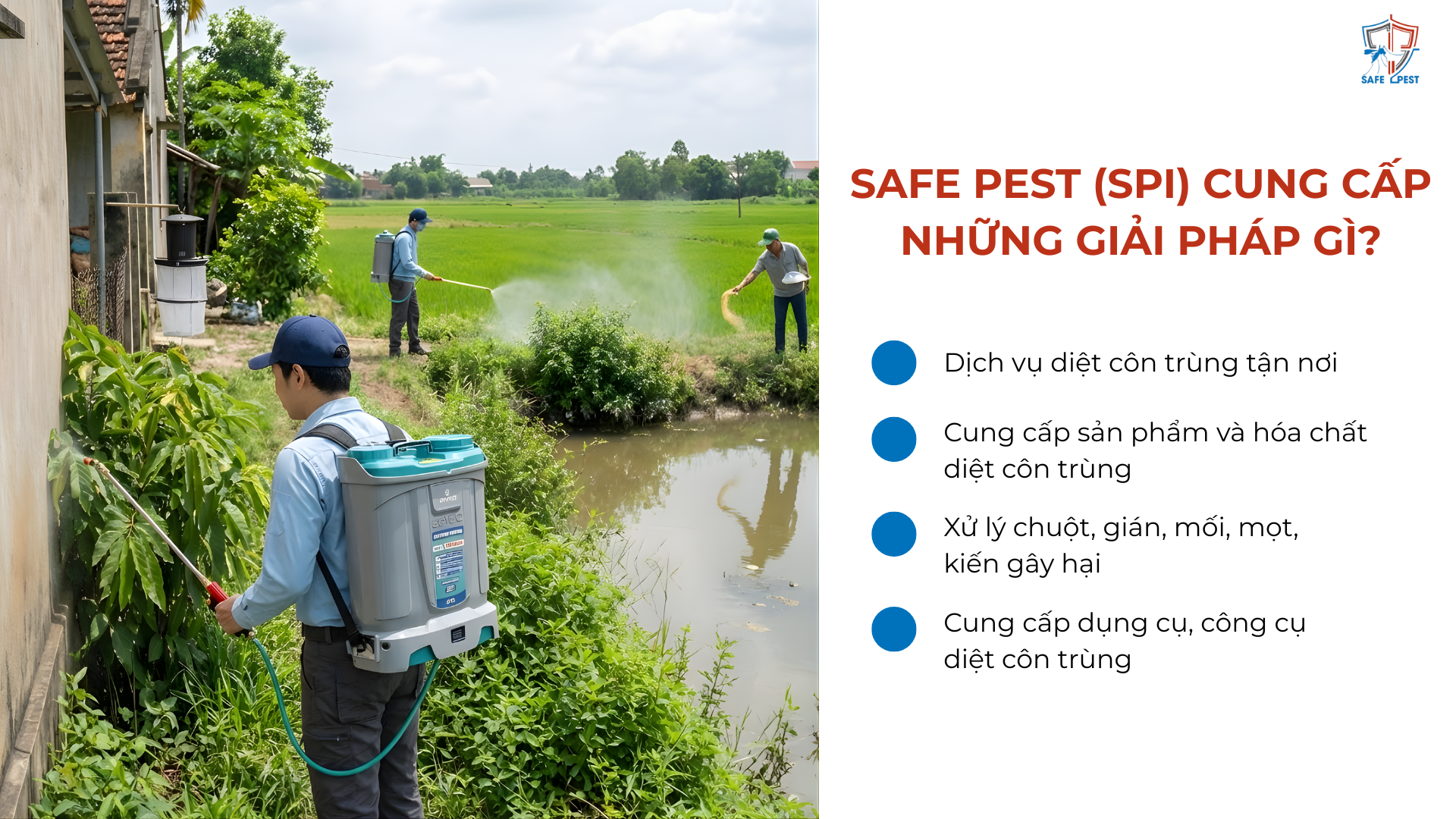 safe-pest-cung-cap-giai-phap-gi