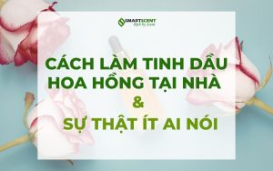 cach-lam-tinh-dau-hoa-hong-va-su-that-it-ai-noi