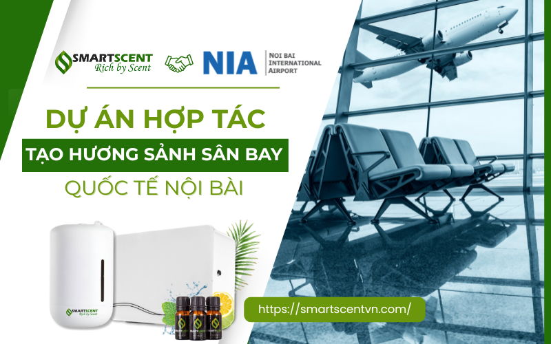du-an-hop-tac-tao-huong-san-bay-quoc-te-noi-bai