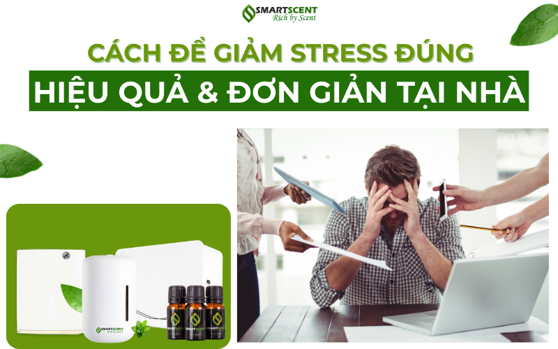 cach-de-giam-stress-dung-cach-hieu-qua-va-don-gian-tai-nha