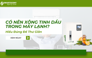 co-nen-xong-tinh-dau-trong-phong-may-lanh