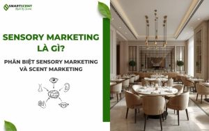 sensory-marketing-la-gi