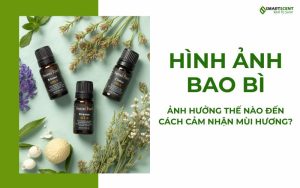 hinh-anh-bao-bi-anh-huong-ra-sao-den-cach-cam-nhan-mui-huong