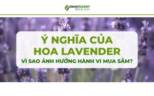 y-nghia-cua-hoa-lavender-vi-sao-anh-huong-hanh-vi-mua-sam