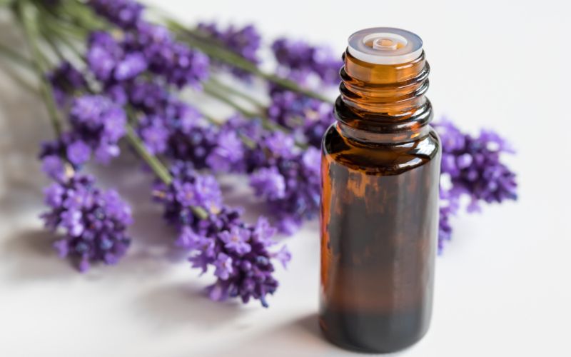 tac-dung-cua-lavender