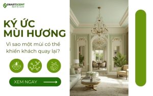 ky-uc-mui-huong