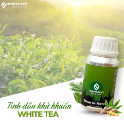tinh-dau-khu-khuan-white-tea-smartscent