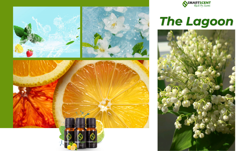 the-lagoon-smartscent