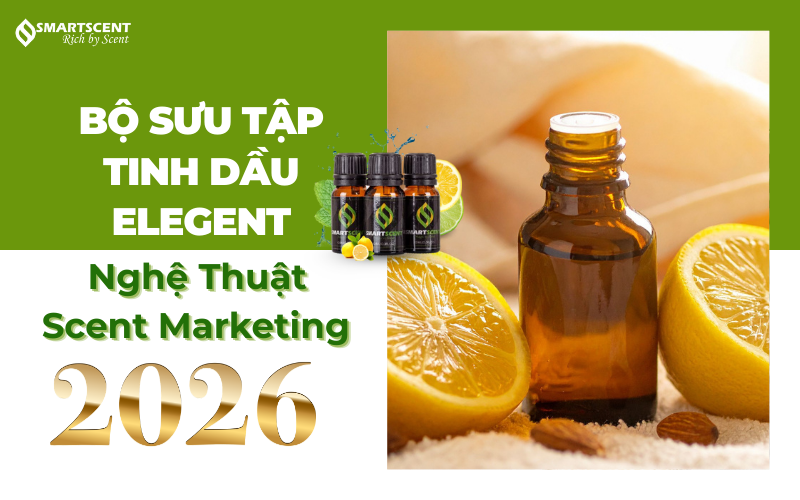 bo-suu-tap-tinh-dau-elegent-nghe-thuat--scent-marketing-2026