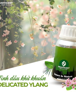 tinh-dau-khu-khuan-delicated-ylang