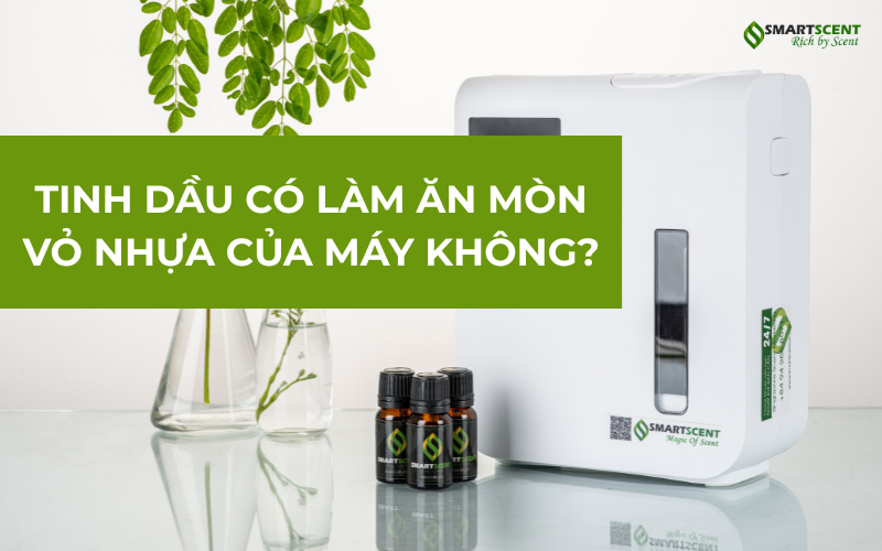 tinh-dau-an-mon-vo-nhua-co-that-khong-cach-dung-an-toan